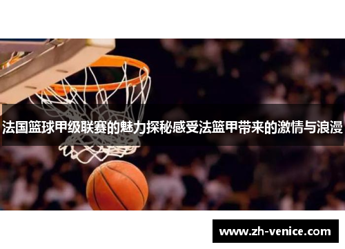法国篮球甲级联赛的魅力探秘感受法篮甲带来的激情与浪漫